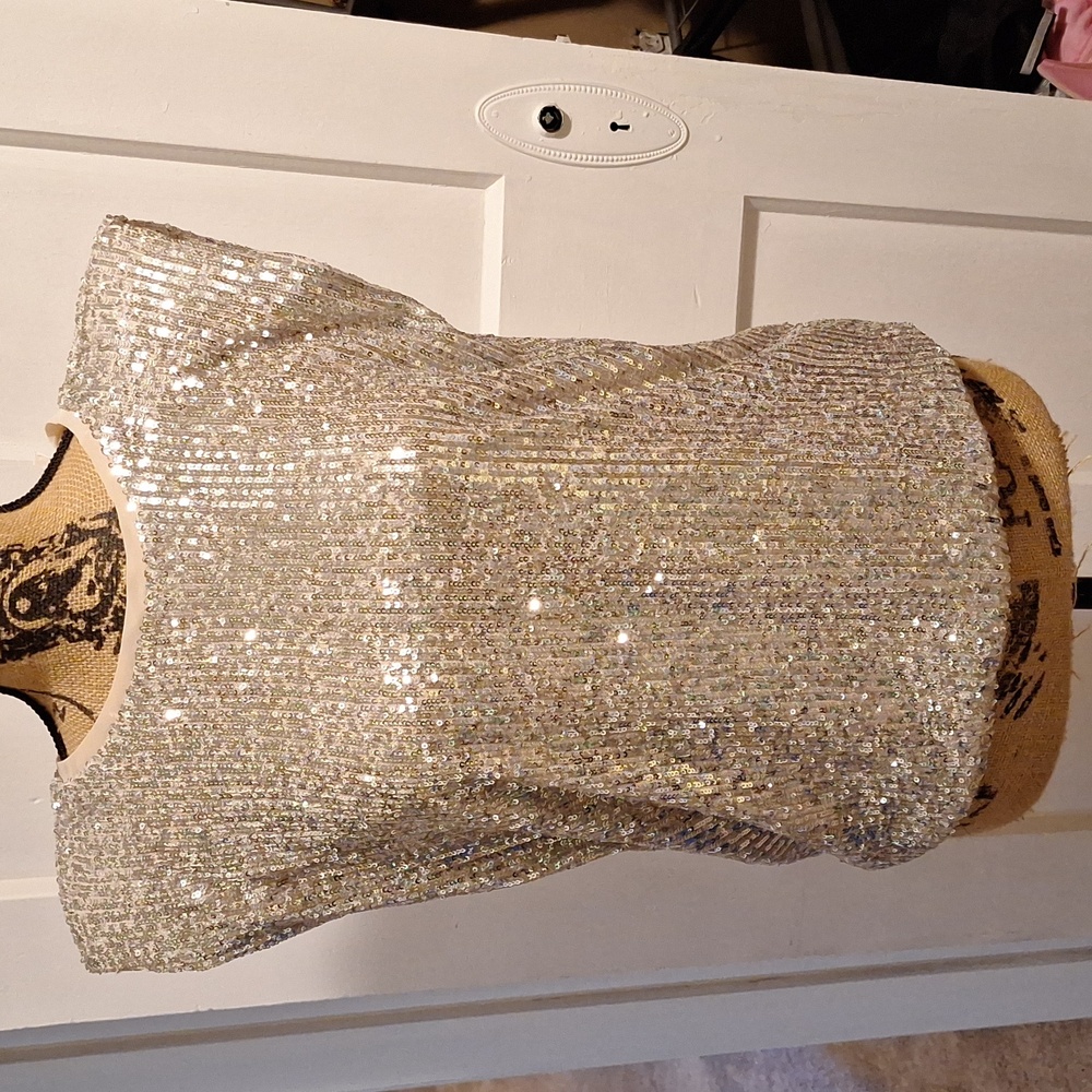 Beautiful Sequin Blouse